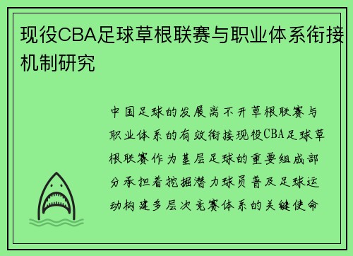 现役CBA足球草根联赛与职业体系衔接机制研究