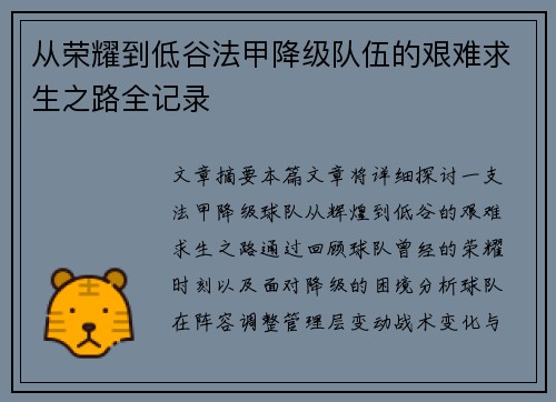 从荣耀到低谷法甲降级队伍的艰难求生之路全记录